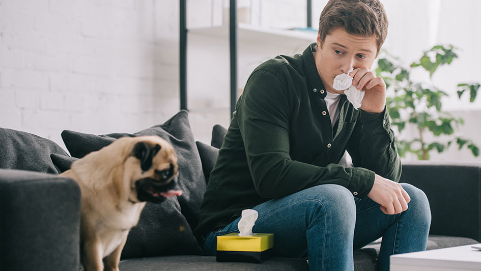 Installing an air purifier is one of the smartest approaches to enhance your home’s indoor air quality. Discover more about the three smartest solutions. 